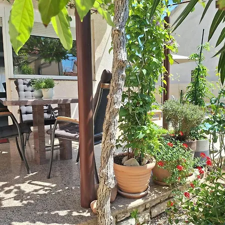 Apartment Kamelija *