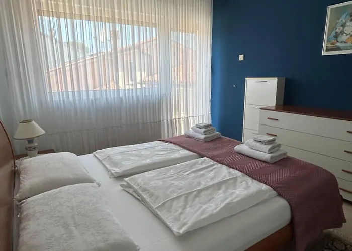 Kamelija Fažana